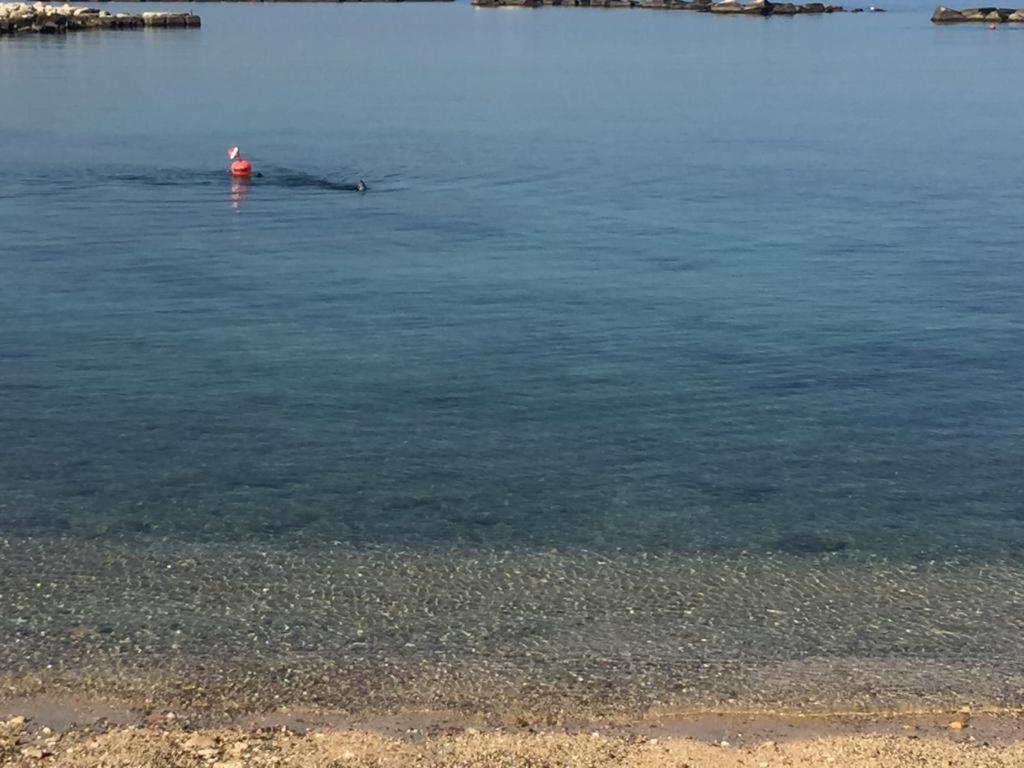 La Mia Terrazza Sul Mare - Mared'Amare Daire Bari Dış mekan fotoğraf